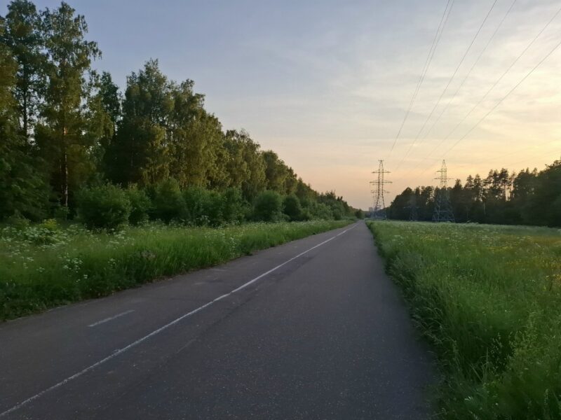 Дорожки в парке Лосиный остров, состояние на 8 июня 2026 по отзыву, фото 2. 